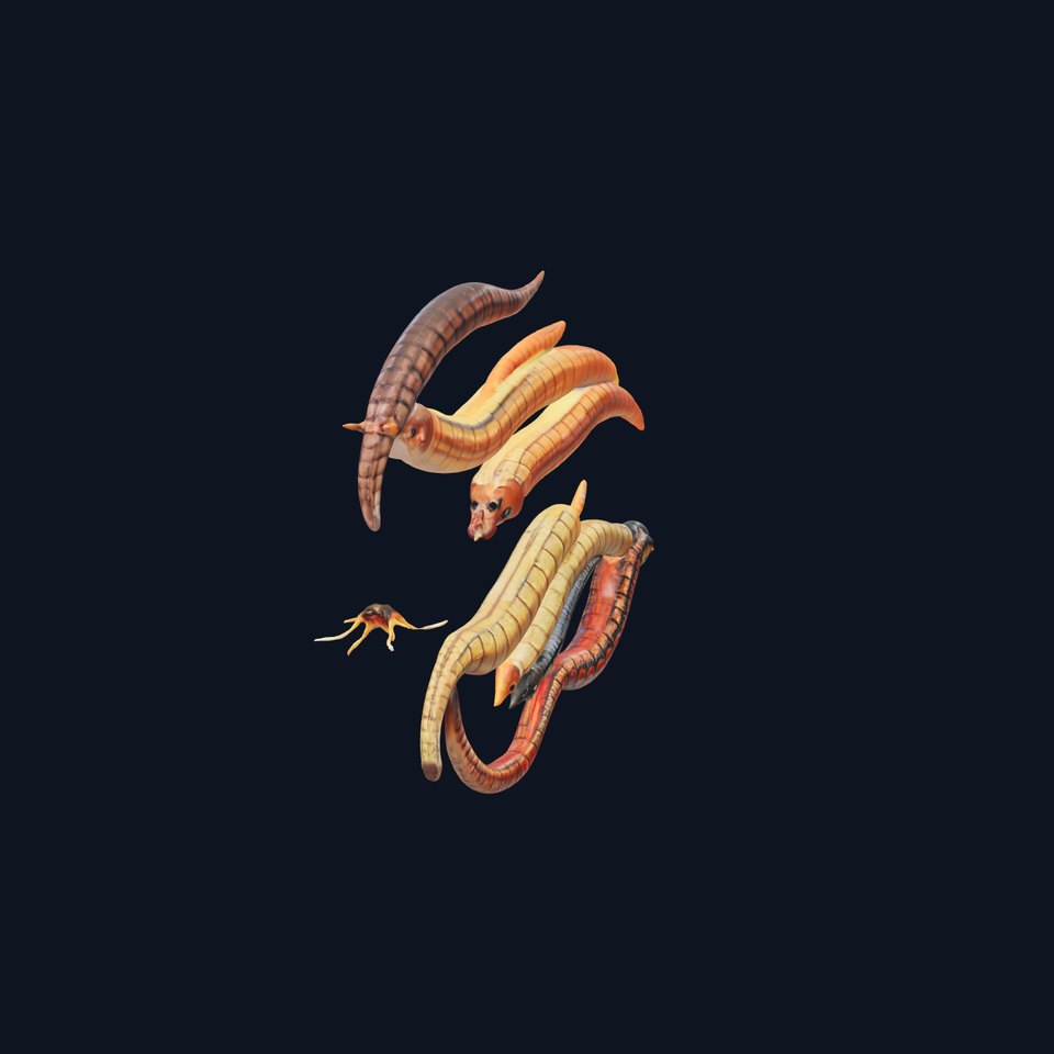 Realistic Worm Model Pack for Animation and Games